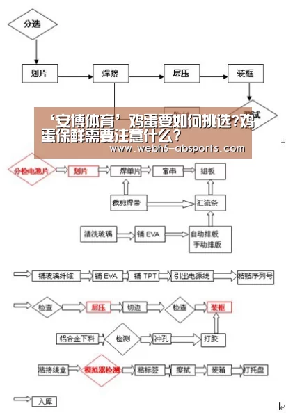 ‘安博体育’鸡蛋要如何挑选?鸡蛋保鲜需要注意什么?(图4) 安博体育